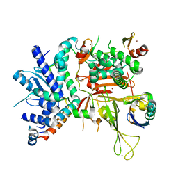 BU of 6aqr by Molmil