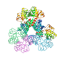 BU of 6asv by Molmil