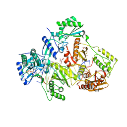 BU of 6asw by Molmil