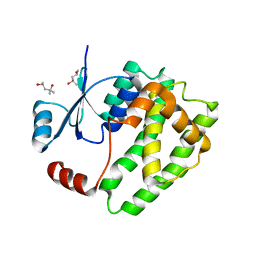 BU of 6atp by Molmil