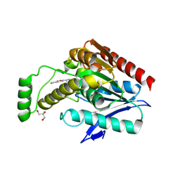 BU of 6ax1 by Molmil