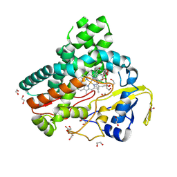 BU of 6b11 by Molmil