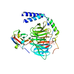 BU of 6b20 by Molmil