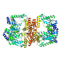 BU of 6b2o by Molmil