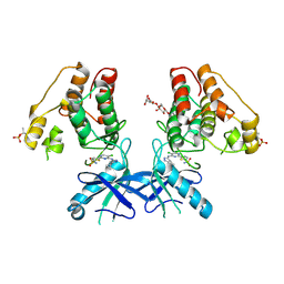 BU of 6b2q by Molmil