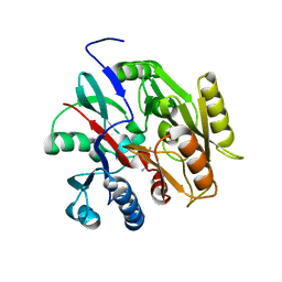 BU of 6b2w by Molmil