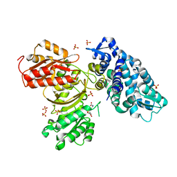 BU of 6b39 by Molmil