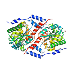 BU of 6b5f by Molmil