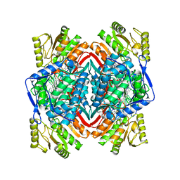 BU of 6b5i by Molmil