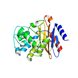 BU of 6b5x by Molmil