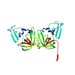 BU of 6b6i by Molmil