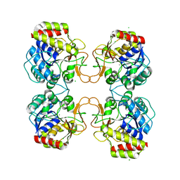 BU of 6ba0 by Molmil