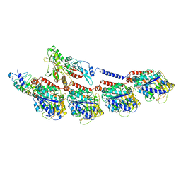 BU of 6bbn by Molmil