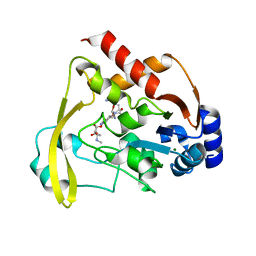 BU of 6bc2 by Molmil