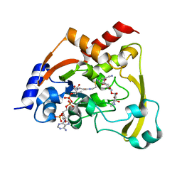 BU of 6bc3 by Molmil