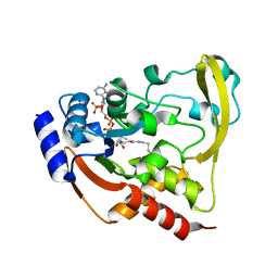 BU of 6bc4 by Molmil