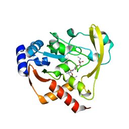 BU of 6bc7 by Molmil