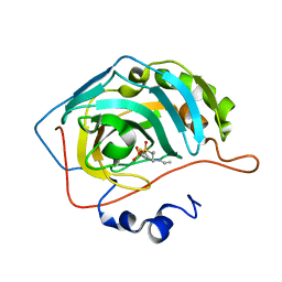 BU of 6bc9 by Molmil