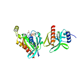 BU of 6bcb by Molmil