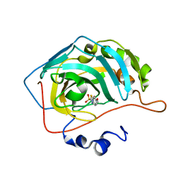 BU of 6bcc by Molmil