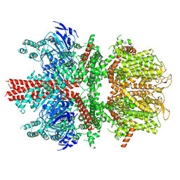 BU of 6bcl by Molmil