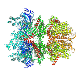 BU of 6bco by Molmil