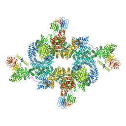 BU of 6bcx by Molmil