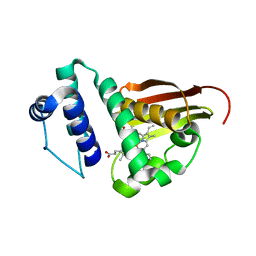 BU of 6bdd by Molmil