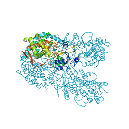 BU of 6bdk by Molmil