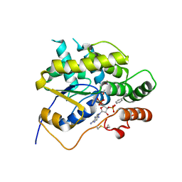 BU of 6bdp by Molmil