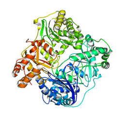 BU of 6bfc by Molmil