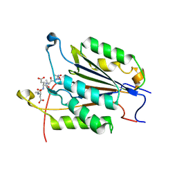 BU of 6bfl by Molmil