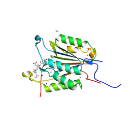 BU of 6bfo by Molmil