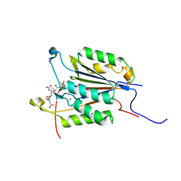 BU of 6bg1 by Molmil