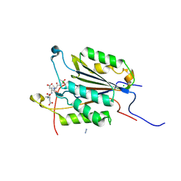 BU of 6bgk by Molmil