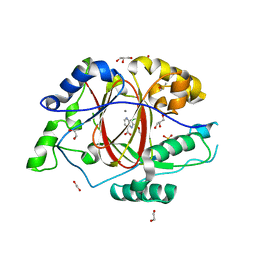 BU of 6bgu by Molmil