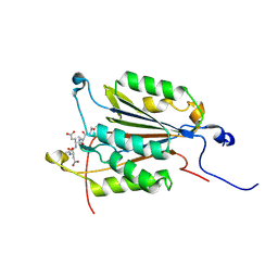 BU of 6bha by Molmil