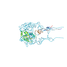 BU of 6bkp by Molmil