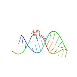 BU of 6bmd by Molmil