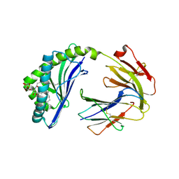 BU of 6bmh by Molmil