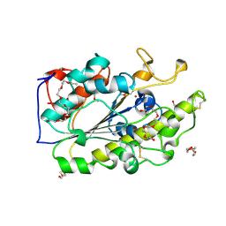 BU of 6bnc by Molmil