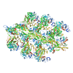 BU of 6bnp by Molmil