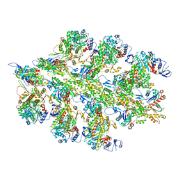 BU of 6bnq by Molmil