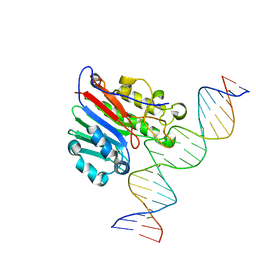 BU of 6bov by Molmil