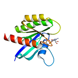 BU of 6bp1 by Molmil