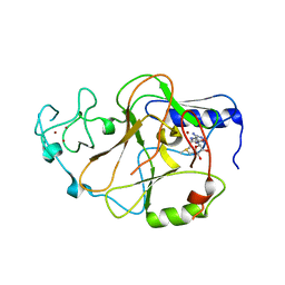 BU of 6bp4 by Molmil