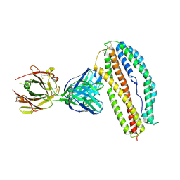 BU of 6bpa by Molmil