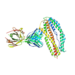 BU of 6bpa by Molmil