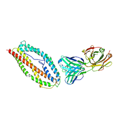 BU of 6bpc by Molmil