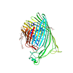 BU of 6bpn by Molmil